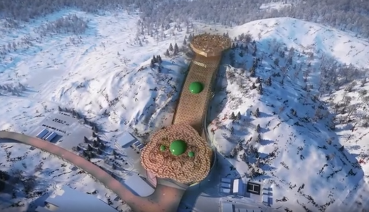 雪如意：我的成长记