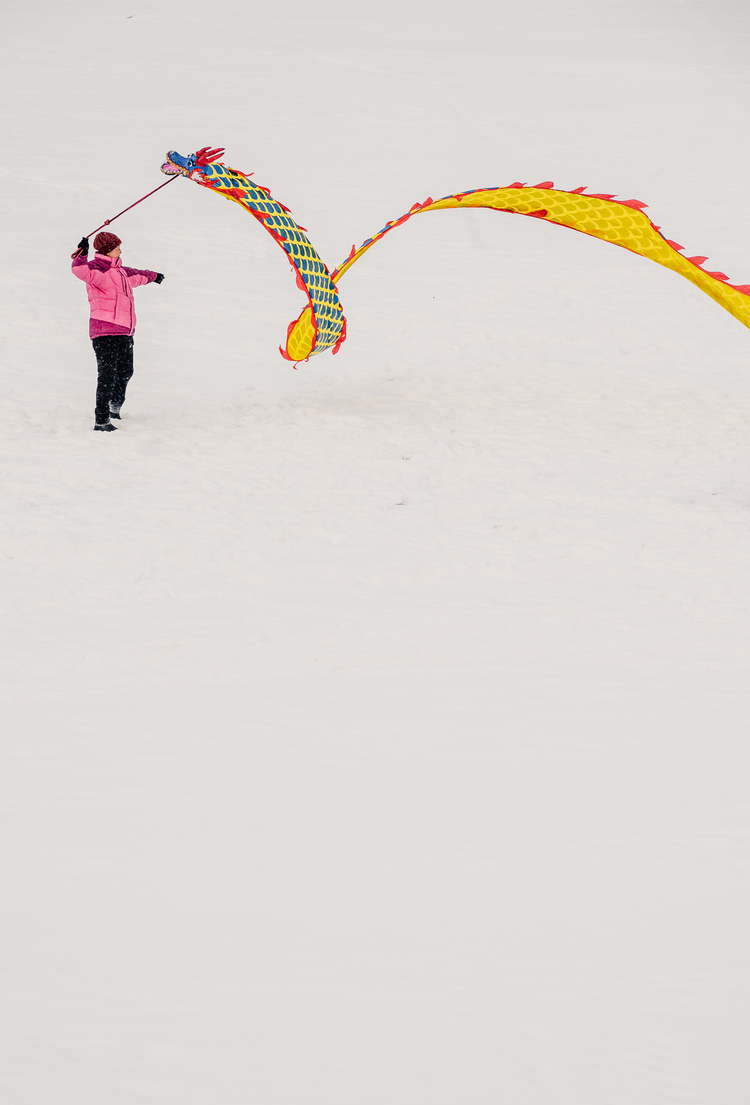 雪挂美景入画来