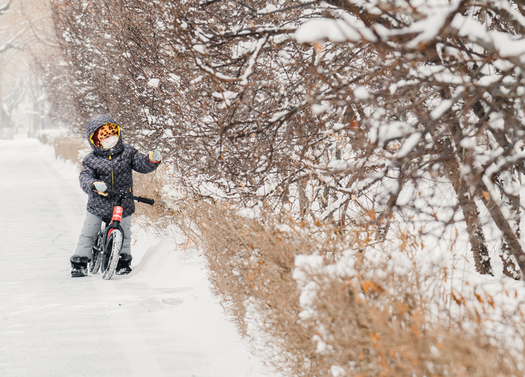 雪挂美景入畫來