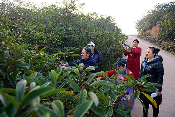 自贡市荣县新桥镇赶场冲村评定为全省2021年度乡村振兴示范村_fororder_2村班子成员深入农村调查研究