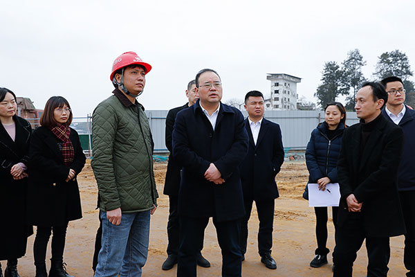 自贡大安：以最大决心最大力度推进环境污染防治_fororder_2调研现场