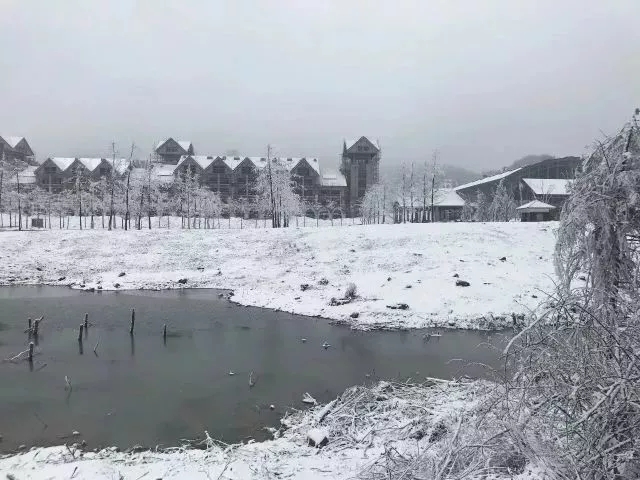 【环保视点专题　绿色美食　图文摘要】听说这些美食与雪景很般配！