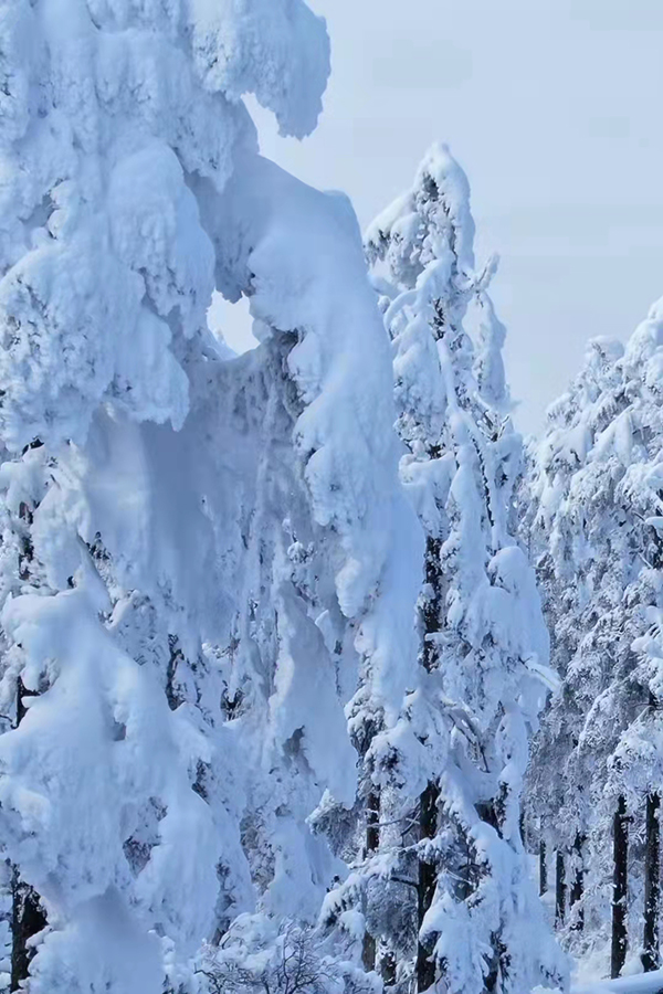 眉山洪雅瓦屋山冰雪美景如画