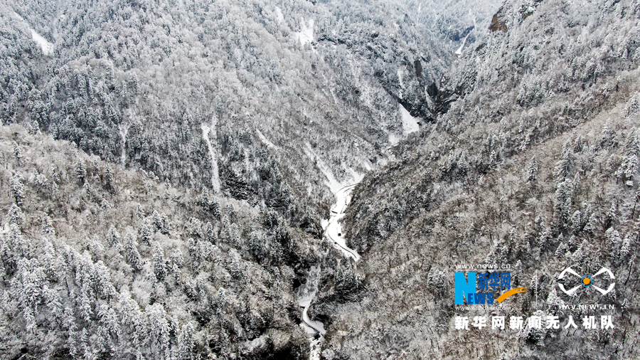 【“飛閱”中國】雪浴官鵝溝