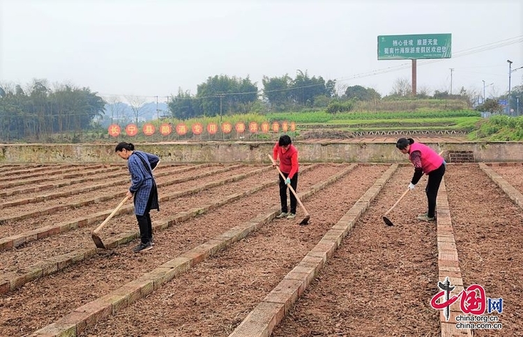（转载）忙春耕抓生产 宜宾长宁奋力夺取“三农”工作开门红
