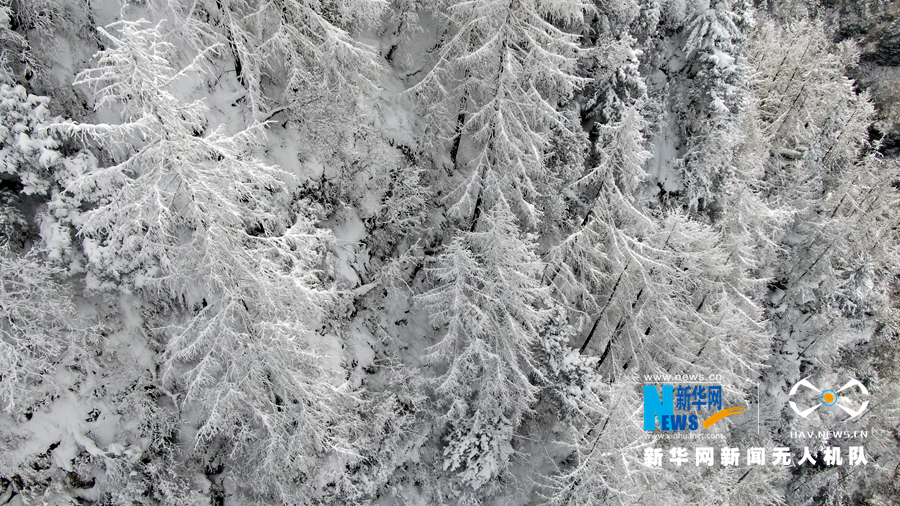 【“飛閱”中國】雪浴官鵝溝