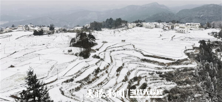 花溪高坡：梯田雪景美如畫