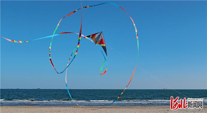 河北秦皇岛：风筝飞舞 乐享春光