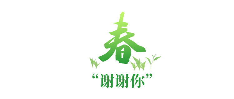 学习故事会丨深情满四季，关怀暖人心