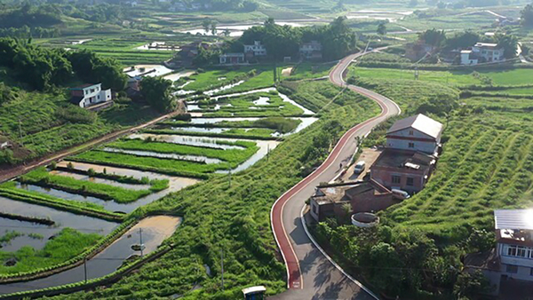 自贡沿滩：一颗小花椒 富民大产业_fororder_2永安镇刘山村