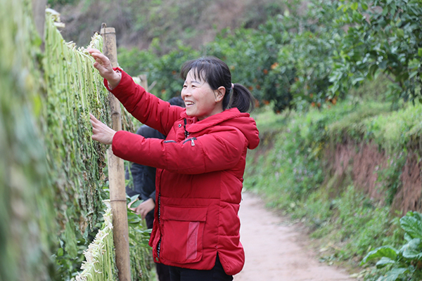 宜宾南溪：树上结出金果子 林下种出好生活_fororder_3Q9A0165