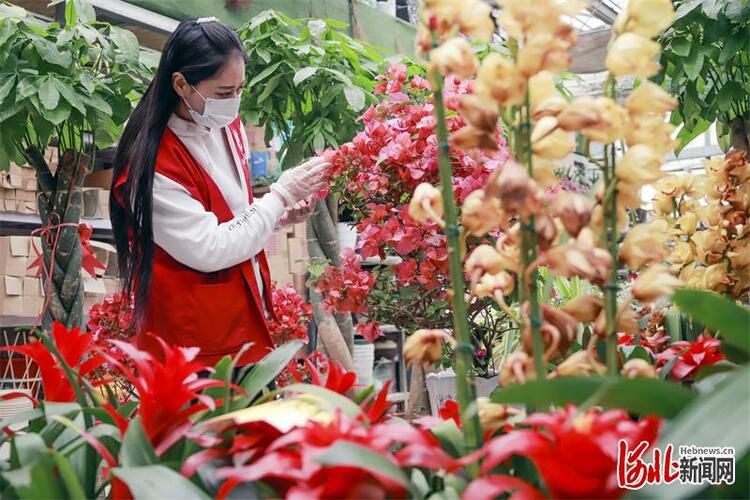 唐山開平：基地+市場發展花卉産業