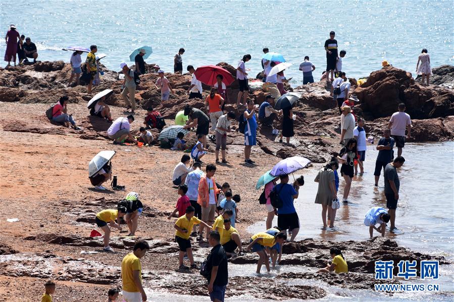 青岛海滨 游人如织