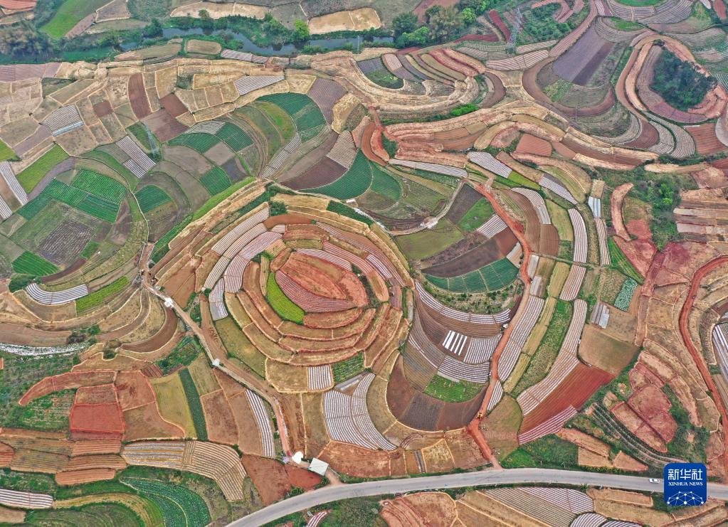 南宁市邕宁区：大地调色板