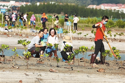 海南省志愿者开展义务植树活动