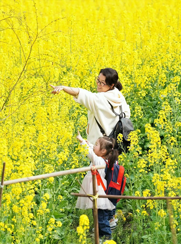 【与春天撞个满怀 打卡最美春景】成都温江进入赏花最佳时期_fororder_母女在油菜花海游玩-摄影-梁波