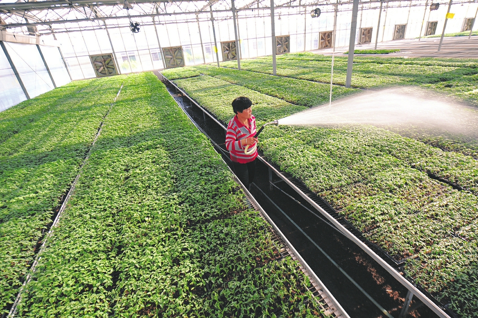 图片默认标题_fororder_789e1db36674c0e4522edb2b79bd5b20 (1)