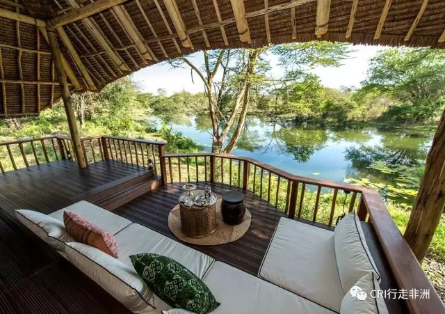 西察沃国家公园:火山岩上的马赛狮子舞