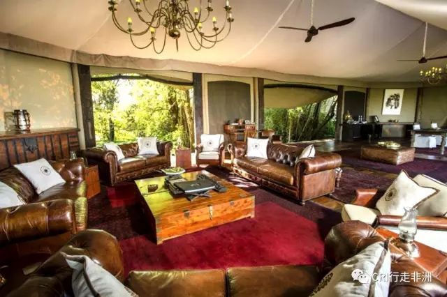 西察沃国家公园:火山岩上的马赛狮子舞