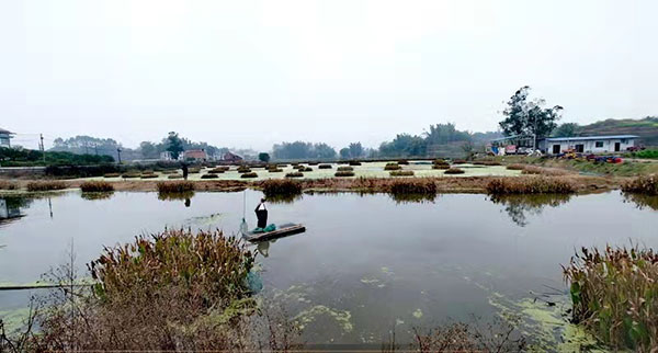 我在乡村挺好的|宜宾南溪区返乡农民工邓勇：养殖小龙虾 走出创业路_fororder_小龙虾养殖基地-供图-南溪区委宣传部