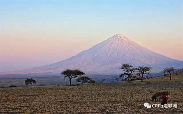 西察沃国家公园:火山岩上的马赛狮子舞