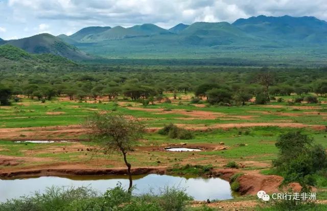西察沃国家公园:火山岩上的马赛狮子舞