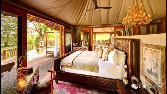 西察沃国家公园:火山岩上的马赛狮子舞