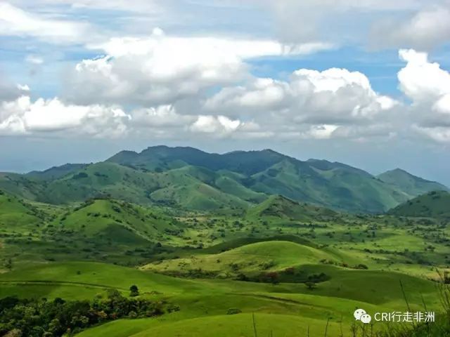 西察沃国家公园:火山岩上的马赛狮子舞