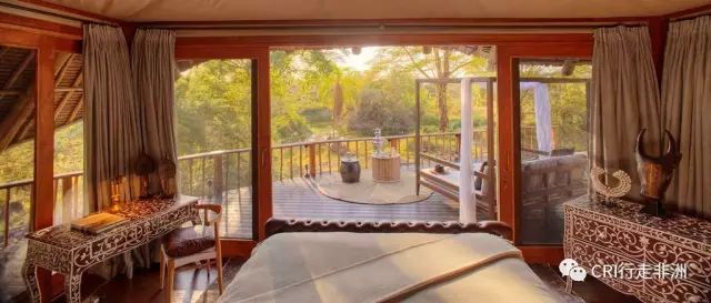 西察沃国家公园:火山岩上的马赛狮子舞