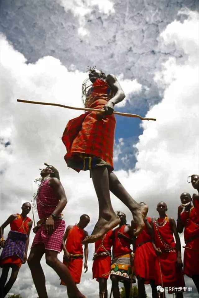 西察沃国家公园:火山岩上的马赛狮子舞