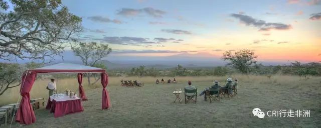 西察沃国家公园:火山岩上的马赛狮子舞