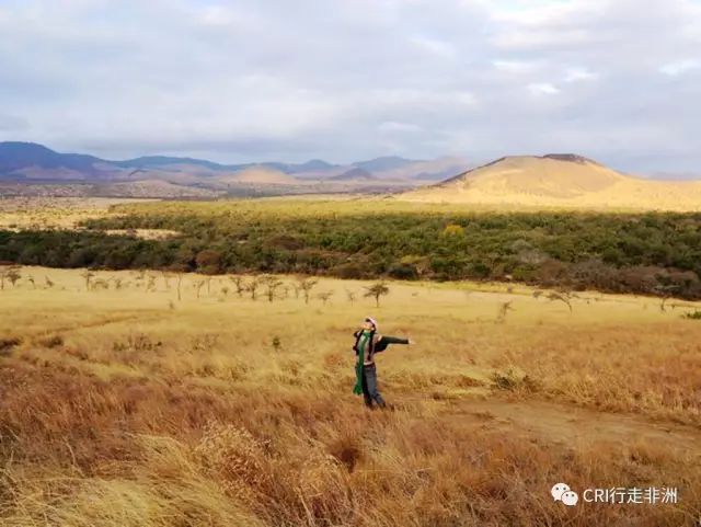 西察沃国家公园:火山岩上的马赛狮子舞