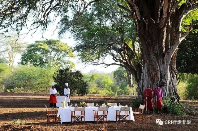 西察沃国家公园:火山岩上的马赛狮子舞