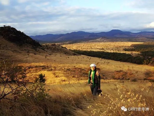 西察沃国家公园:火山岩上的马赛狮子舞