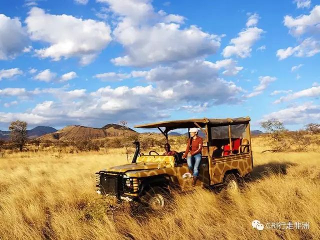 西察沃国家公园:火山岩上的马赛狮子舞