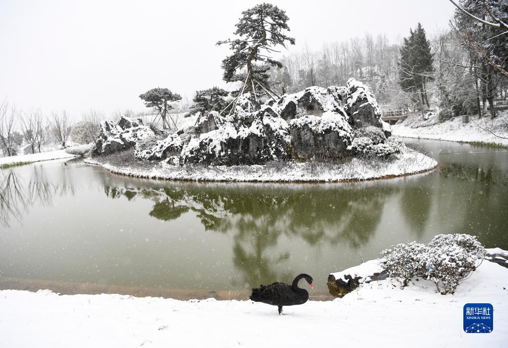 【城市遠洋】重慶武隆：“冰雪世界”引客來