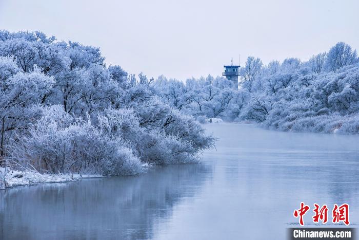 中俄界湖興凱湖冰天雪地現美景