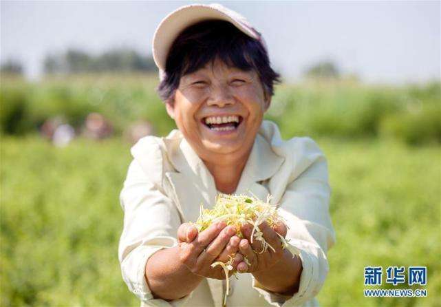 Học giả Việt Nam khen ngợi Trung Quốc đã thực hiện nhiều biện pháp để tăng thu nhập cho bà con nông dân_fororder_src=http___inews.gtimg.com_newsapp_bt_0_5274328653_641&refer=http___inews.gtimg