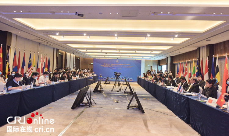 第17届中国—东盟博览会高官会暨投资合作工作会议举行