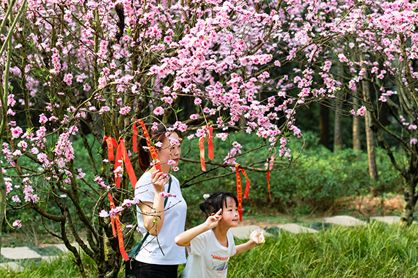 【與春天撞個滿懷 打卡最美春景】自貢：以花為媒暢遊尖山風景區 桃花朵朵盛開賞花正當時_fororder_3遊客拍照留影（攝影-廖志全）