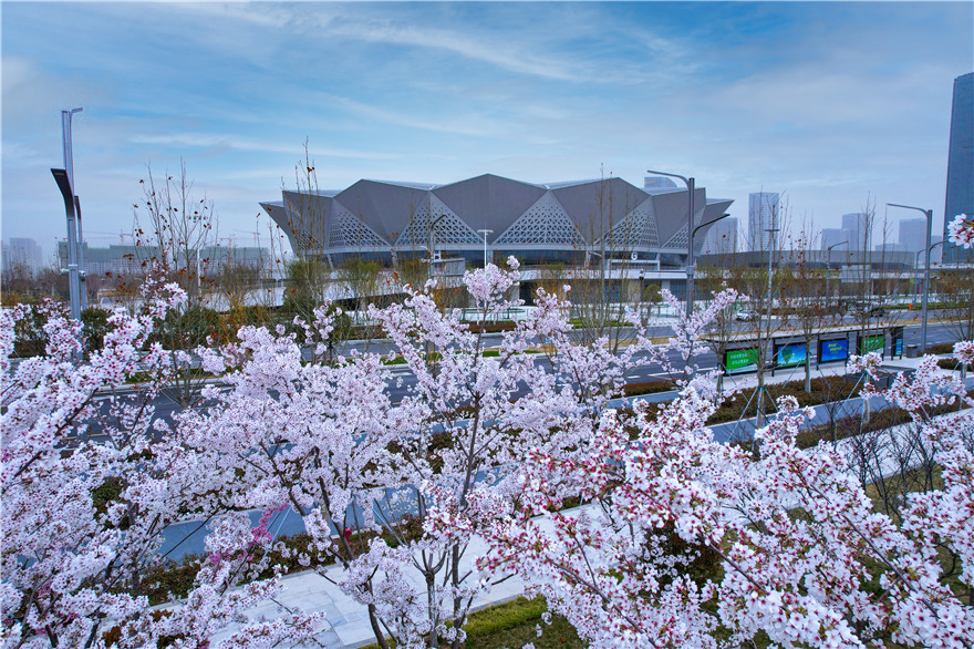 【与春天撞个满怀 打卡最美春景】红意枝头闹 春色满陆港_fororder_80f2f742a133c22940d45983b12b681