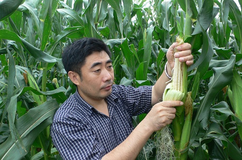 ທ່ານຈ້າວຈີວຢານ ຫົວໜ້າກອງສາລີ_fororder_赵久然2