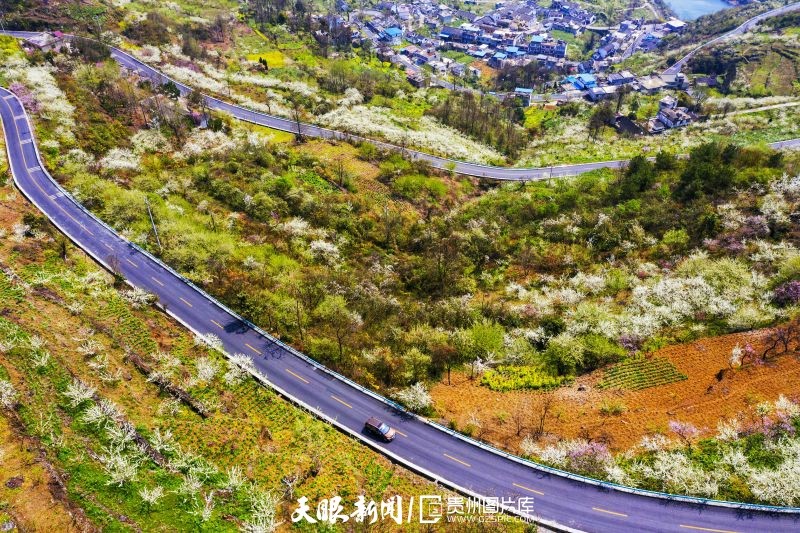 貴州黔西：一路風景 一路歌