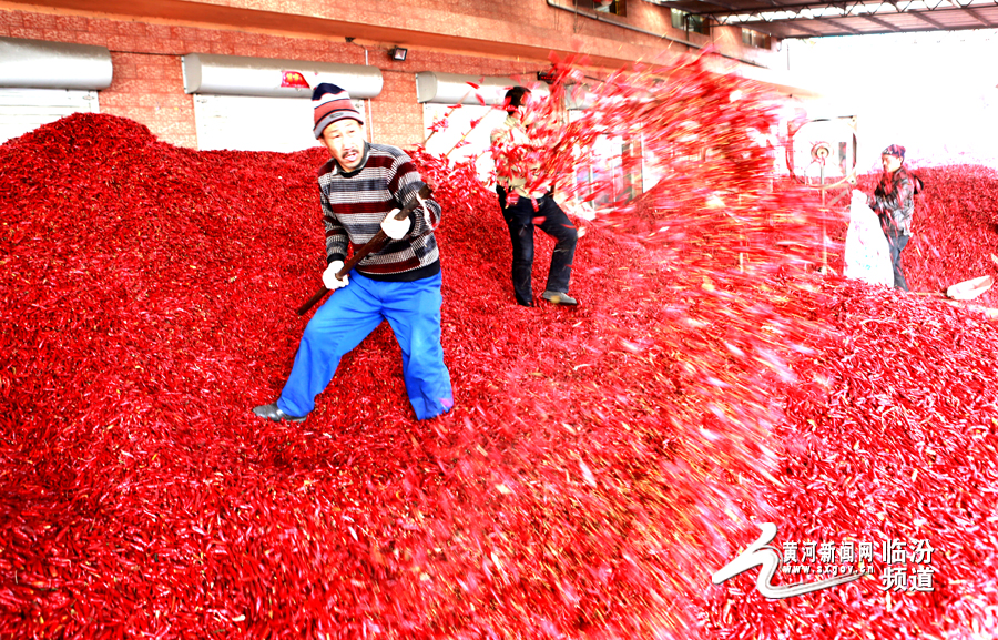 图片默认标题_fororder_02