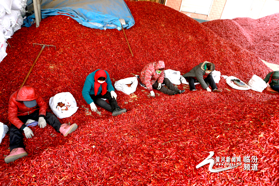 图片默认标题_fororder_03