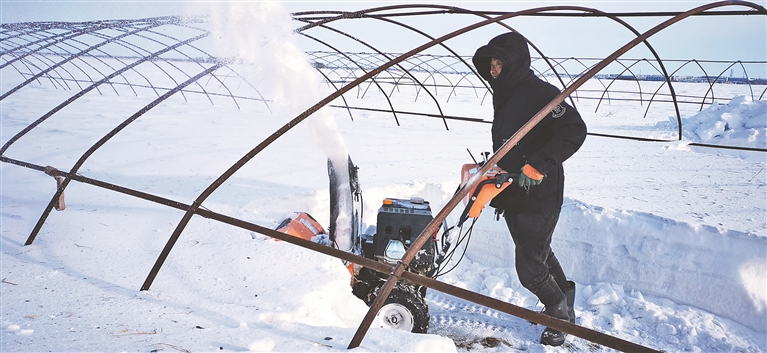 撫遠：快清雪 早扣棚 備春耕