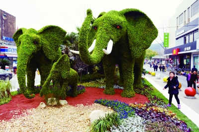 街头   1月2日,位于南京和燕路红山动物园入口处的一组大象绿雕亮相
