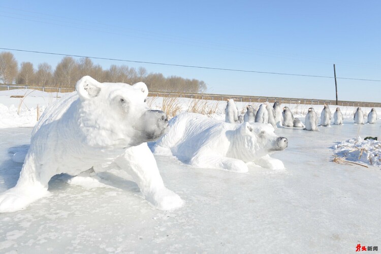 牧場小冰河 “長”出狗熊和企鵝