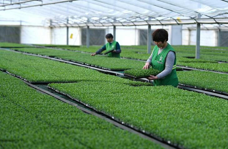 #CCFR Comment#បទវិភាគ៖មធ្យោបាលជាសារវន្តសម្រាប់សម្រេចបាននូវភាពសម្បូរសប្បាយរួម គឺធ្វើការតស៊ូព្យាយាមជាមួយគ្នា_fororder_3
