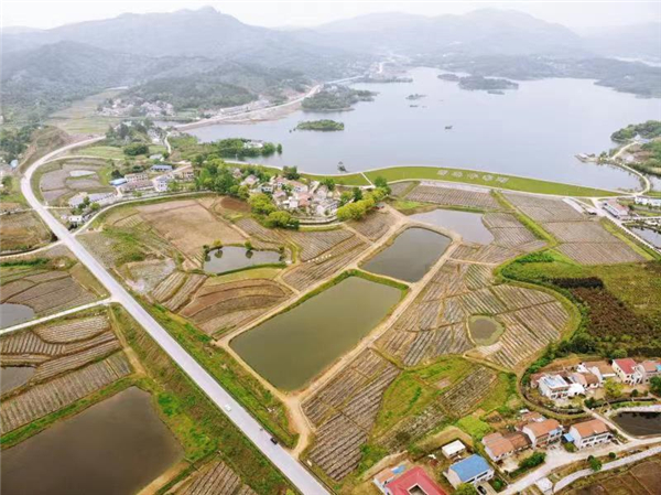 团风县总路咀镇白坳村全景图 摄影 魏翔国际在线湖北消息:2月28日,春